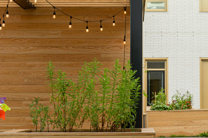 Maibec - Maison Aînés_2025-08-01-6